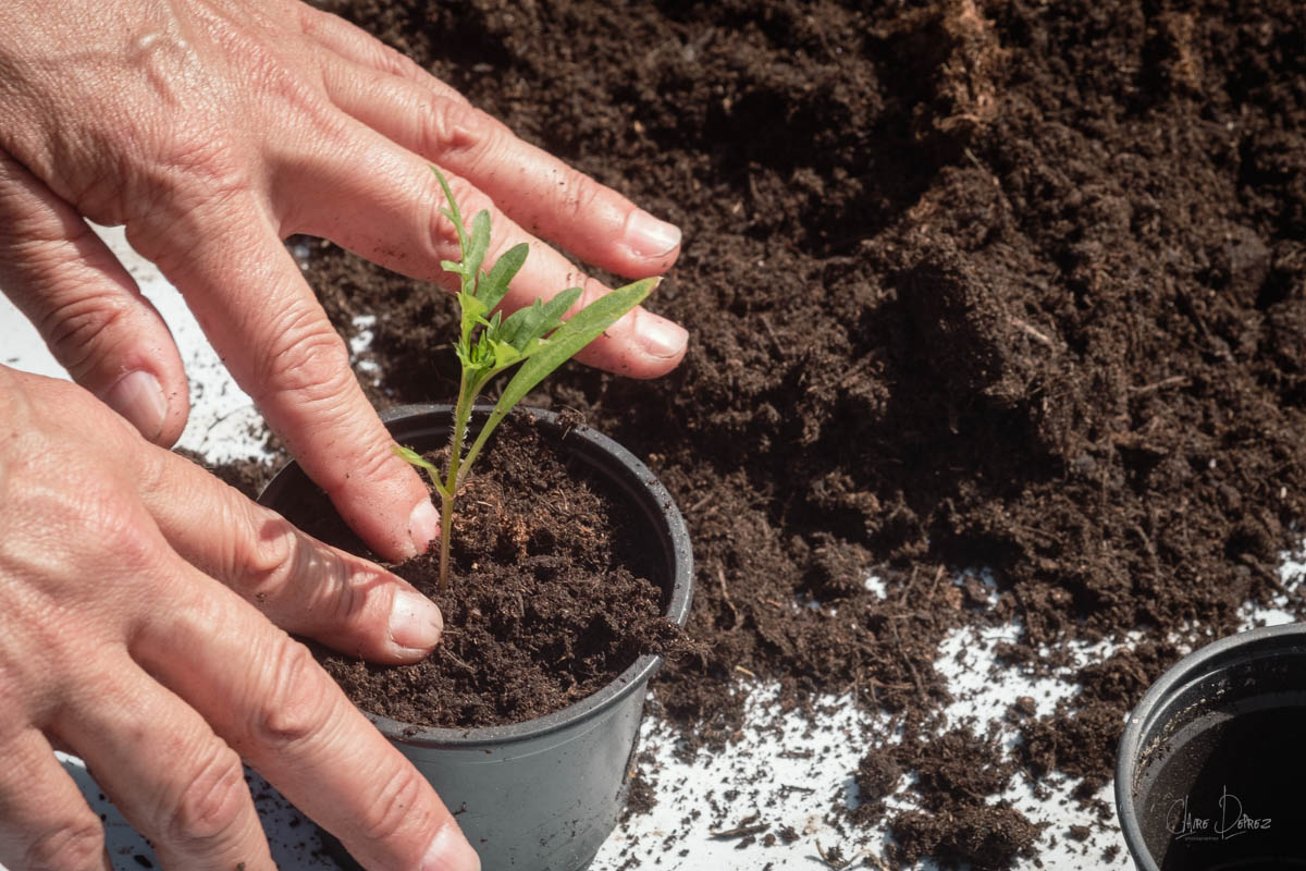 La micro ferme du bout du monde