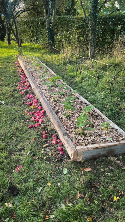 [Les Rubis de Yves]