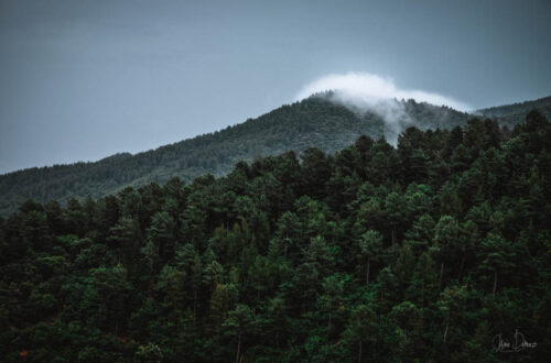 Cevennes Lozère