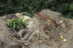 iso-potager-compost rapide-amoncellement