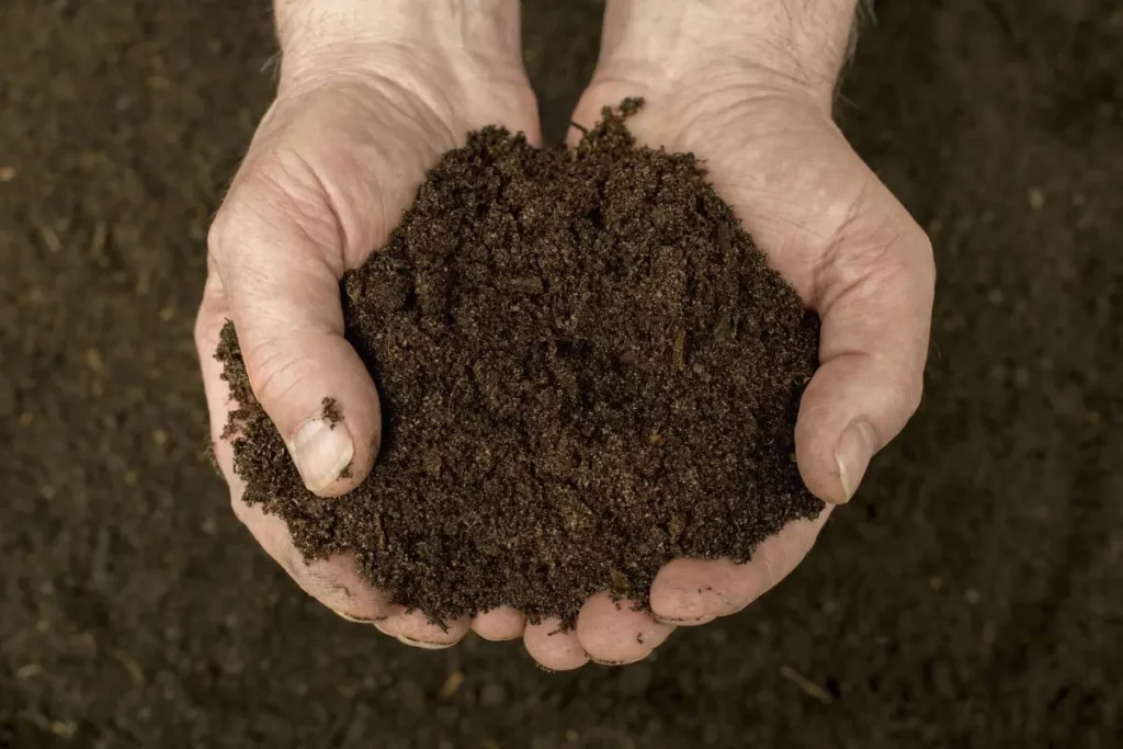 iso-potager-compost rapide-dans les mains