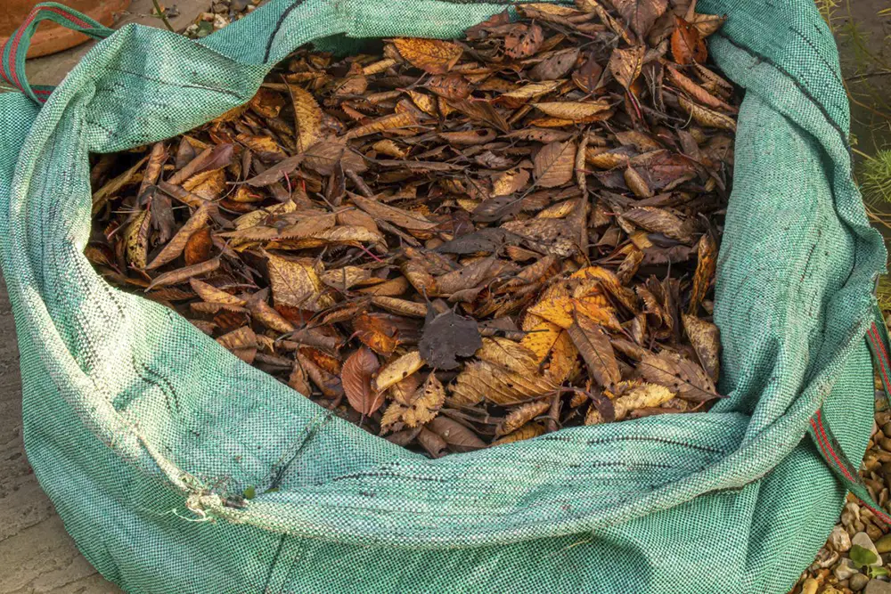 iso-potager-compost rapide-feuilles mortes
