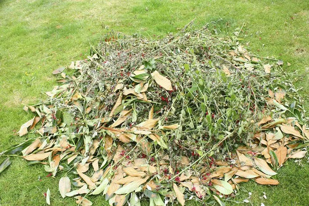 iso-potager-compost rapide-herbe et feuille